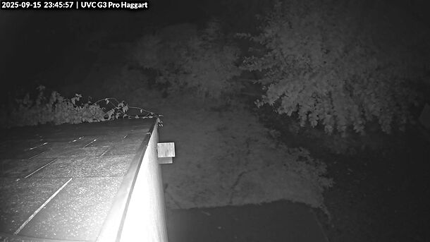Webcam Haggart