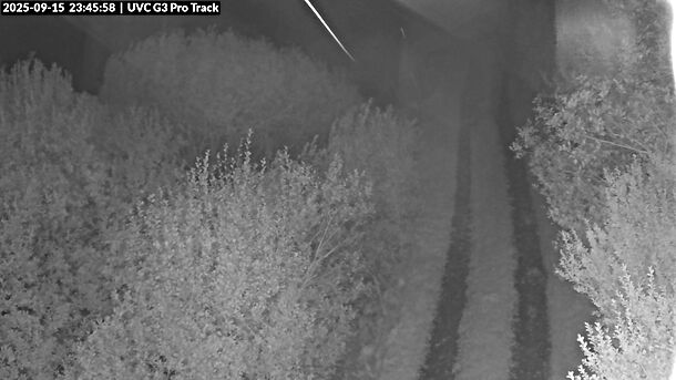 Webcam Track