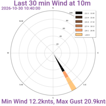 Wind Rose 30mins