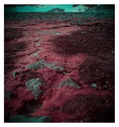 Svalbard Virgohammer 550nm IR Filter RB Channel Swap