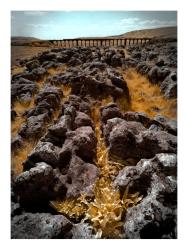 Ribble Head Viaduct - 630nm filter - Red Blue Channel Swap