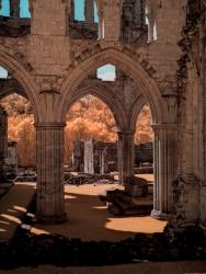 Inside Rivaulx Abbey 630nm with Channel Swap