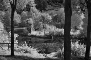 Typical Landscape at 830nm is Black and White