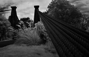 Suspension Bridge Cables at 830nm is Black and White