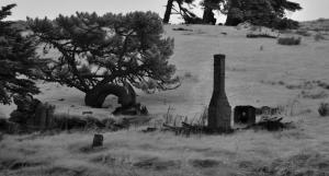 Old Chimney and Pines at 830nm