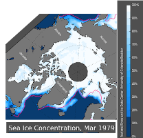 Arctic Maximum Sea Ice 2010